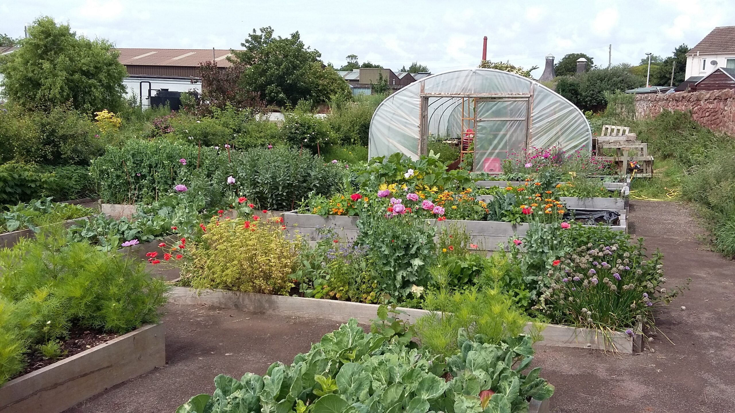 Belhaven Community Garden Sustaining Dunbar